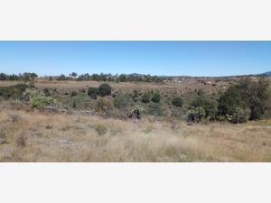 Terreno en venta en Santa María Nativitas, Aculco — foto 3 de 21