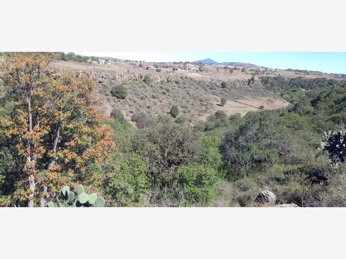 Terreno en venta en Santa María Nativitas, Aculco — foto 1 de 21