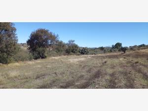 Terreno en venta en Santa María Nativitas, Aculco — foto 2 de 21
