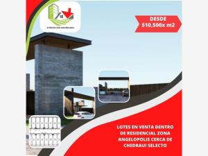 Terreno en venta en San Bernardino Tlaxcalancingo, San Andrés Cholula, Puebla Terreno en venta en San Bernardino Tlaxcalancingo, San Andrés Cholula, Puebla