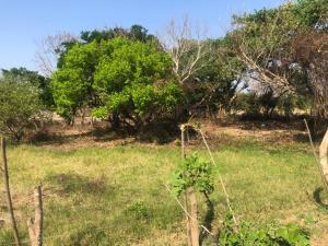 Terreno en venta en El Tejar, Medellín de Bravo — foto 2 de 9