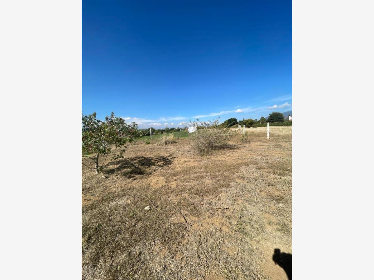 Terreno en venta en Tlalixtac de Cabrera, Tlalixtac de Cabrera — foto 1 de 6