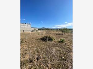 Terreno en venta en Tlalixtac de Cabrera, Tlalixtac de Cabrera — foto 3 de 6
