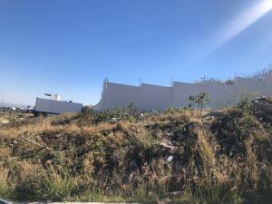 Terreno en venta en Zanda, León — foto 3 de 4