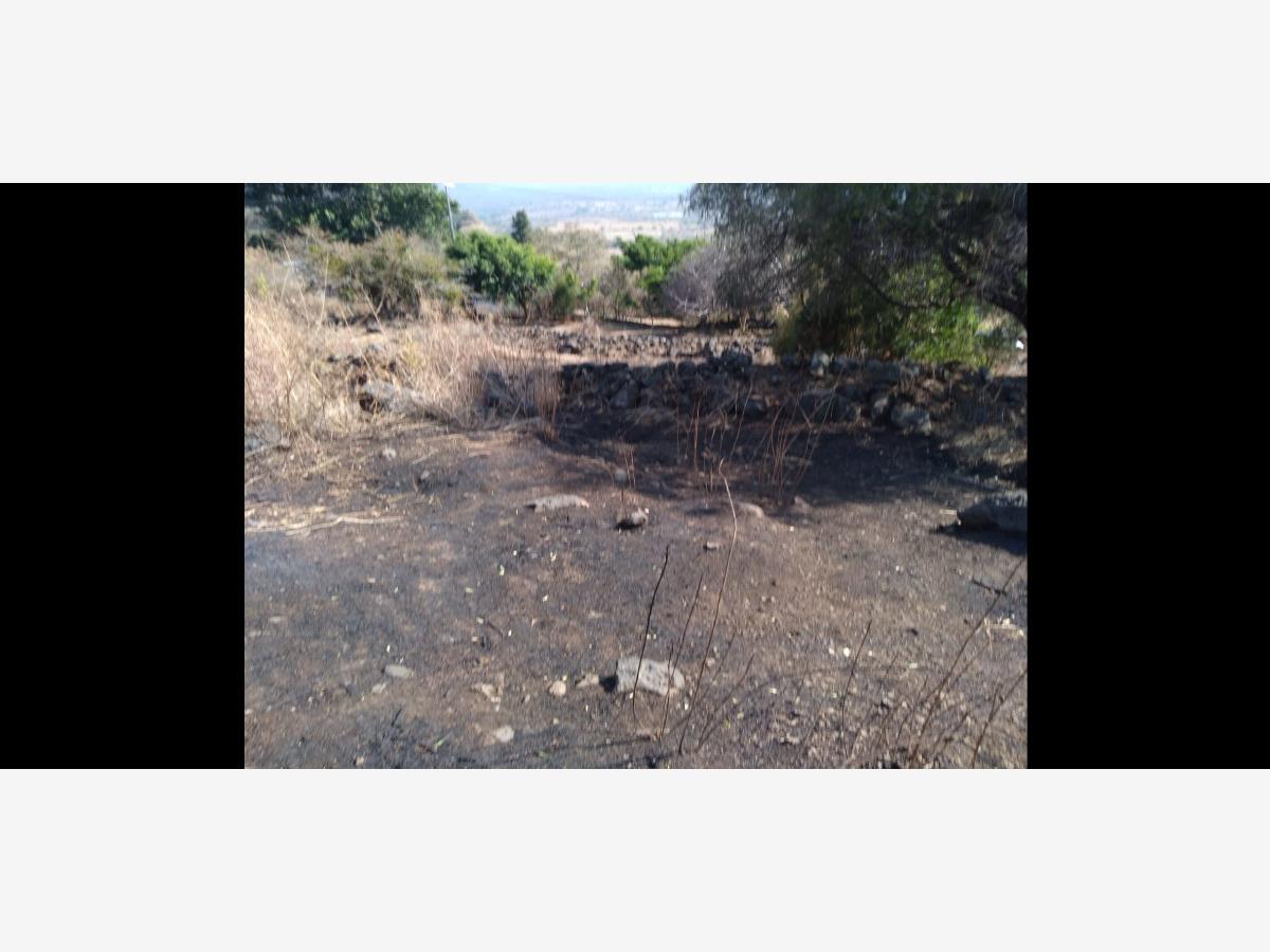 Terreno en venta en Tepoztlan Centro, Tepoztlán — foto 1 de 10