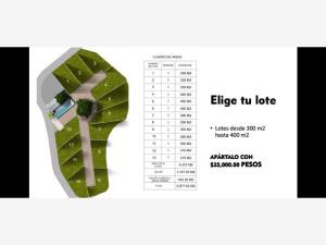 Terreno en venta en Tequesquitengo, Jojutla — foto 3 de 9
