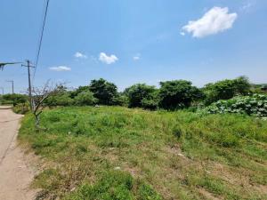 Terreno en venta en Anton Lizardo, Alvarado, Veracruz de Ignacio de la Llave