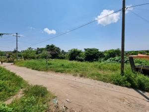 Terreno en venta en Anton Lizardo, Alvarado — foto 2 de 4
