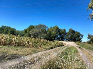 Terreno en venta en Ajuchitlan, Colón — foto 2 de 11