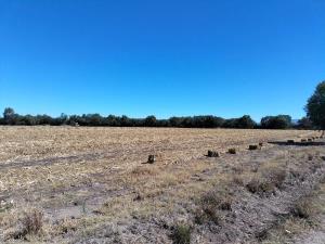 Terreno en venta en Ajuchitlan, Colón — foto 3 de 11
