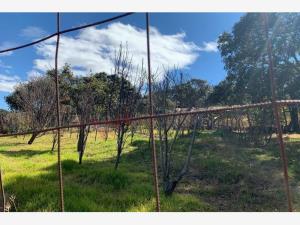 Finca-Rancho en venta en San Pedrito, Huimilpan — foto 2 de 26