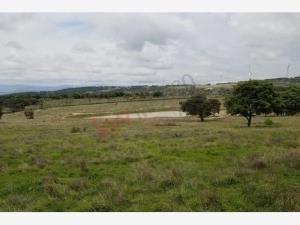 Finca-Rancho en venta en San Pedrito, Huimilpan — foto 3 de 26