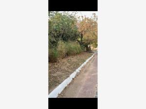 Terreno en venta en Las Cañadas (Bosques de San Isidro), Zapopan — foto 3 de 6