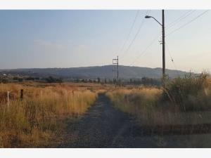 Terreno en venta en Los Tepetates, Zapotlanejo — foto 2 de 6