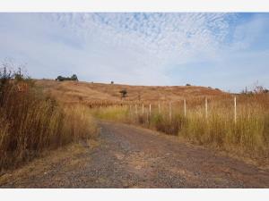 Terreno en venta en Los Tepetates, Zapotlanejo — foto 3 de 6