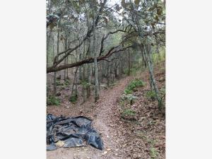 Terreno en venta en Chitejé de la Cruz, Amealco de Bonfil — foto 2 de 27