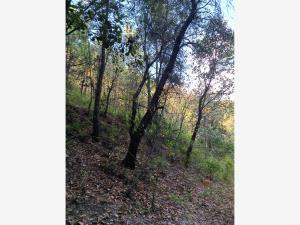 Terreno en venta en Chitejé de la Cruz, Amealco de Bonfil — foto 3 de 27