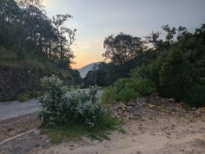Terreno en venta en Chitejé de la Cruz, Amealco de Bonfil — foto 3 de 51