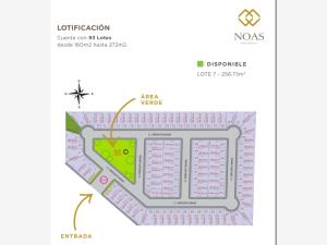 Terreno en venta en Los Viñedos, Torreón — foto 2 de 2