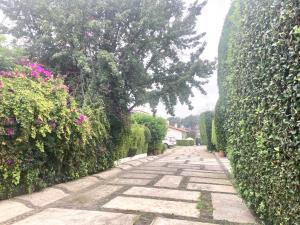 Casa en venta en San Nicolás Totolapan, La Magdalena Contreras — foto 3 de 54