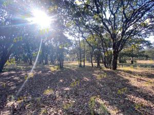 Terreno en venta en El Vergel y Anexos, San Felipe — foto 3 de 10