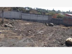 Terreno en venta en Chamilpa, Cuernavaca — foto 2 de 8