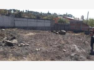 Terreno en venta en Chamilpa, Cuernavaca — foto 3 de 8