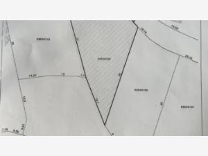Terreno en venta en Club de Golf, Cuernavaca — foto 3 de 4