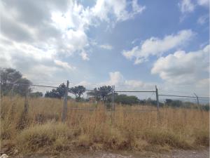 Terreno en venta en Punta de Obrajuelo, Apaseo El Grande — foto 2 de 13