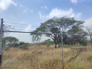Terreno en venta en Punta de Obrajuelo, Apaseo El Grande — foto 3 de 13