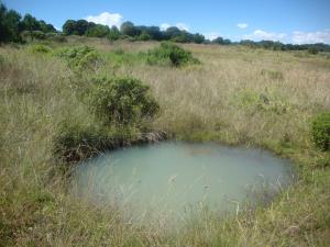 Finca-Rancho en venta en Amealco de Bonfil Centro, Amealco de Bonfil — foto 2 de 6