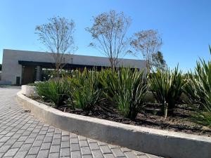 Terreno en venta en Punta Bosque, Saltillo — foto 2 de 13