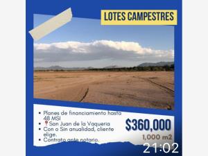Terreno en venta en San Juan de la Vaquería, Saltillo, Coahuila de Zaragoza