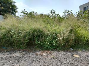Terreno en venta en Real de Oaxtepec, Yautepec — foto 2 de 2