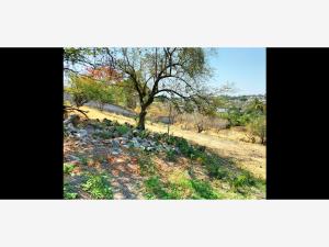 Terreno en venta en Acatlipa Centro, Temixco, Morelos Terreno en venta en Acatlipa Centro, Temixco, Morelos