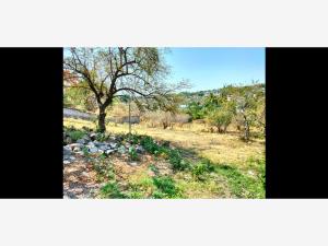 Terreno en venta en Acatlipa Centro, Temixco — foto 2 de 3