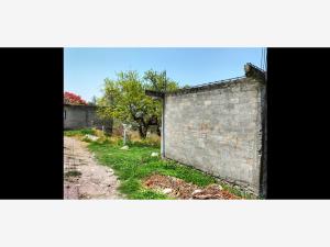 Terreno en venta en Acatlipa Centro, Temixco — foto 3 de 3