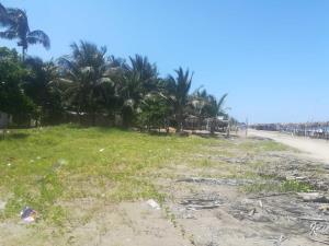 Terreno en venta en Anton Lizardo, Alvarado — foto 2 de 9