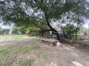 Terreno en renta en San Isidro, Lerdo — foto 3 de 8