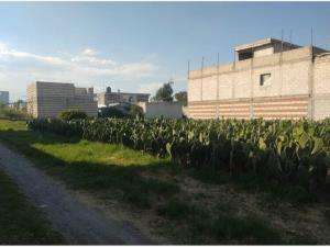 Terreno en venta en Cuayantla, San Andrés Cholula — foto 3 de 7
