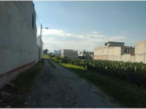 Terreno en venta en Cuayantla, San Andrés Cholula — foto 2 de 7
