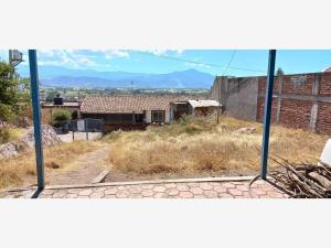 Terreno en venta en El Cerrito, El Grullo — foto 3 de 5