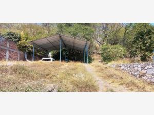 Terreno en venta en El Cerrito, El Grullo — foto 2 de 5
