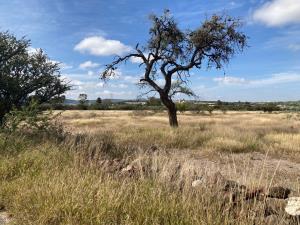 Terreno en venta en Ciudad Maderas, El Marqués — foto 3 de 9