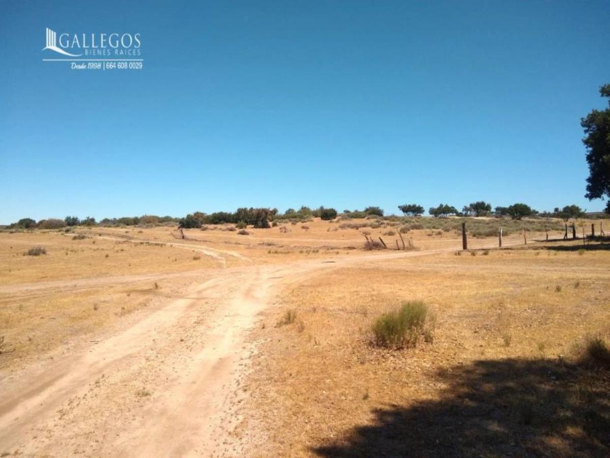 Terreno en venta en Tecate, Tecate — foto 1 de 4