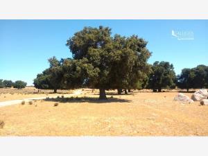 Terreno en venta en Tecate, Tecate — foto 2 de 4