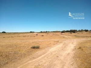 Terreno en venta en Tecate, Tecate — foto 3 de 4