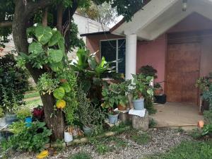 Casa en venta en Tlalixtac de Cabrera, Tlalixtac de Cabrera — foto 2 de 12