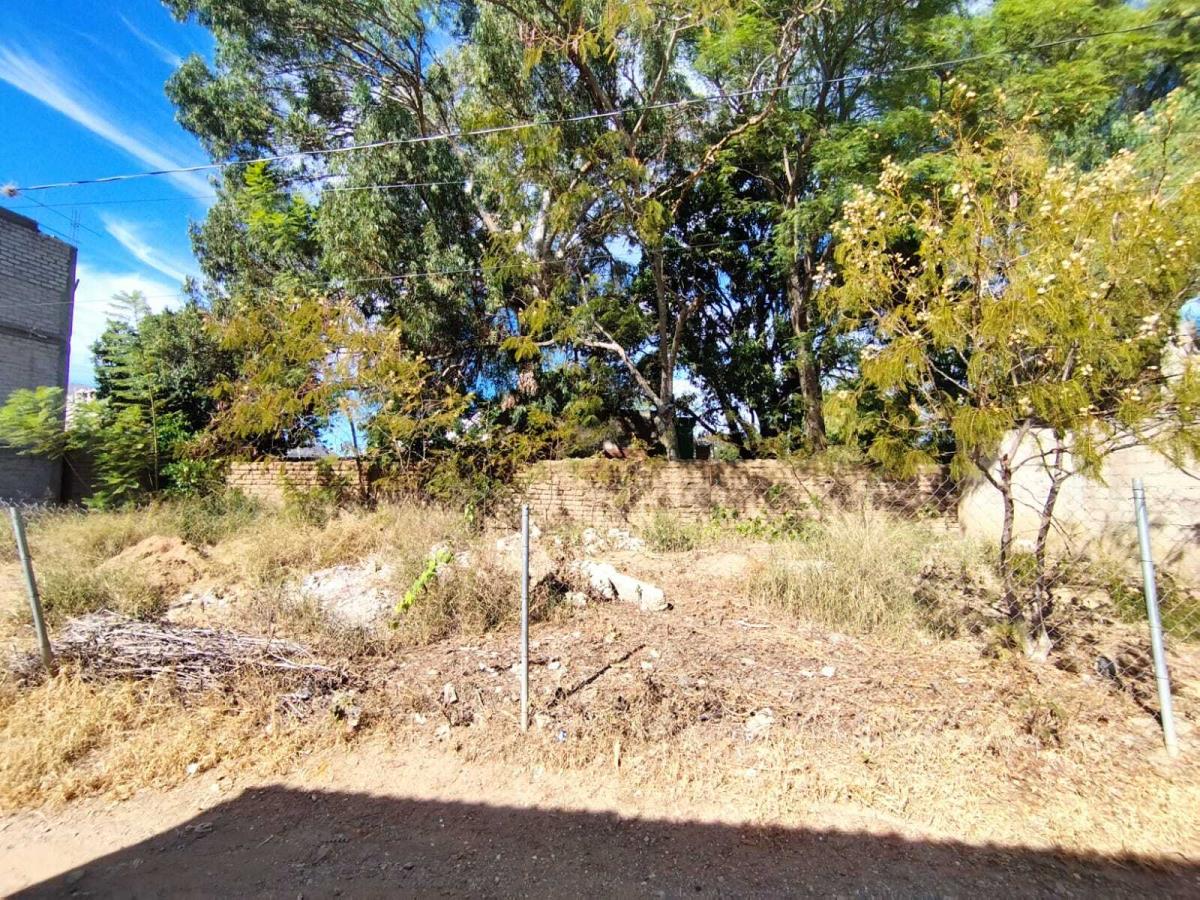 Terreno en venta en Santa María del Tule Centro, Santa María del Tule — foto 1 de 9