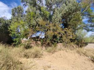 Terreno en venta en Santa María del Tule Centro, Santa María del Tule — foto 2 de 9
